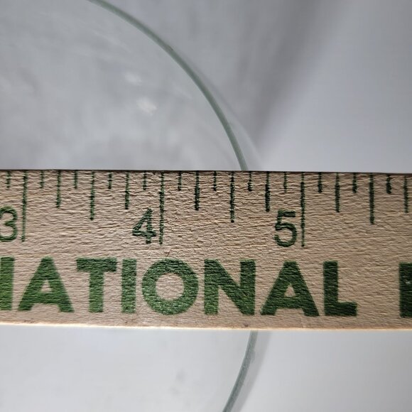 Replacement Chandelier Shade Clear Seeded Bubble Glass Progress Lighting Crofton - Picture 2 of 9